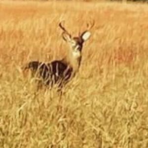 Meet your Posher, Makenzie